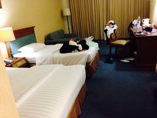 image-81544.jpg